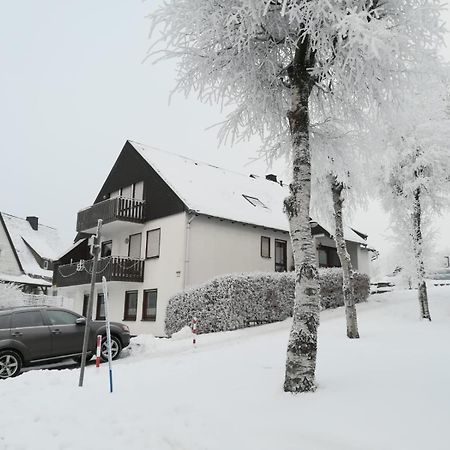 Haus Schneider Apartment Winterberg Luaran gambar