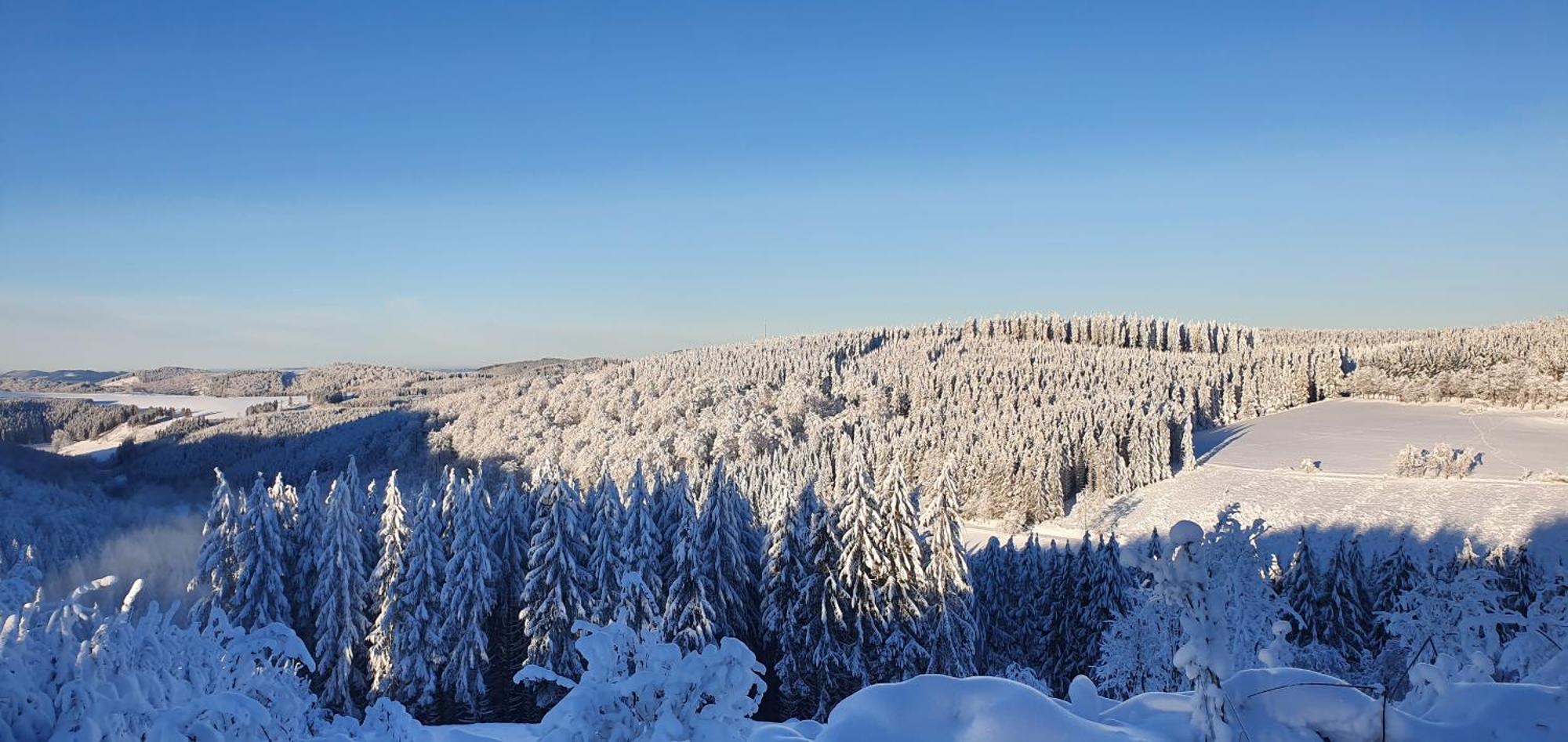 Haus Schneider Apartment Winterberg Luaran gambar